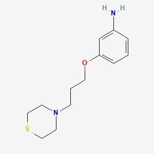 molecular formula C13H20N2OS B13878194 3-(3-Thiomorpholin-4-ylpropoxy)aniline 