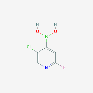 molecular formula C5H4BClFNO2 B1387990 (5-氯-2-氟吡啶-4-基)硼酸 CAS No. 1034659-38-5