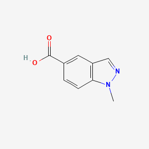 molecular formula C9H8N2O2 B1388001 1-Methyl-1H-indazole-5-carboxylic acid CAS No. 1176754-31-6
