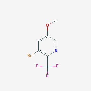 molecular formula C7H5BrF3NO B13880115 3-Bromo-5-methoxy-2-(trifluoromethyl)pyridine CAS No. 1211589-18-2