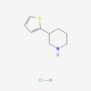 B1388028 3-(Thiophen-2-yl)piperidine hydrochloride CAS No. 877176-72-2