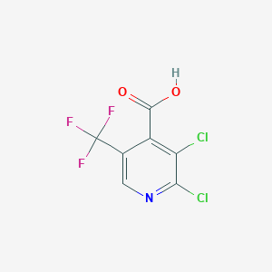 molecular formula C7H2Cl2F3NO2 B1388176 2,3-Dichloro-5-(trifluoromethyl)isonicotinic acid CAS No. 1135283-33-8