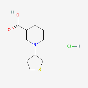 molecular formula C10H18ClNO2S B1388234 1-(Tetrahydro-3-thienyl)piperidine-3-carboxylic acid hydrochloride CAS No. 1215749-61-3