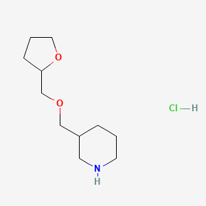 molecular formula C11H22ClNO2 B1388316 3-[(Tetrahydro-2-furanylmethoxy)methyl]piperidine hydrochloride CAS No. 1185294-75-0