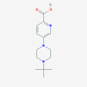 5-(4-Tert-butylpiperazin-1-yl)pyridine-2-carboxylic acid