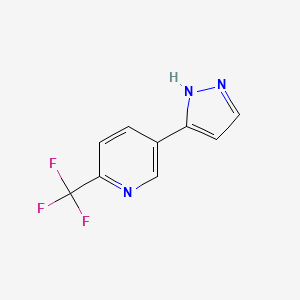 molecular formula C9H6F3N3 B1388501 5-(1H-Pyrazol-5-yl)-2-(trifluoromethyl)pyridine CAS No. 1097778-72-7
