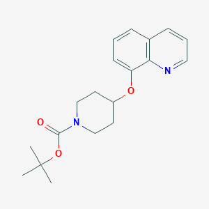 molecular formula C19H24N2O3 B13885706 Tert-butyl 4-quinolin-8-yloxypiperidine-1-carboxylate 