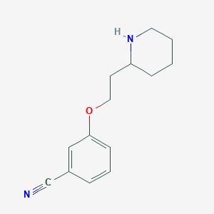 molecular formula C14H18N2O B13886026 3-(2-Piperidin-2-ylethoxy)benzonitrile 