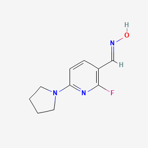 molecular formula C10H12FN3O B1388621 (E)-2-Fluoro-6-(pyrrolidin-1-yl)nicotinaldehyde oxime CAS No. 1228670-40-3