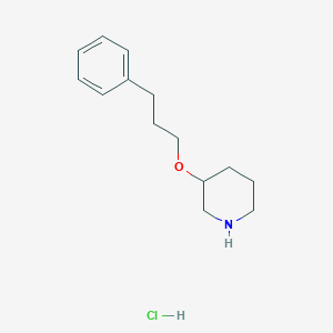 molecular formula C14H22ClNO B1388703 3-(3-Phenylpropoxy)piperidine hydrochloride CAS No. 1185297-28-2