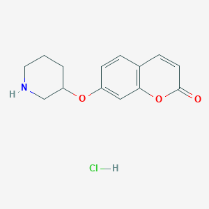 molecular formula C14H16ClNO3 B1388704 7-(3-Piperidinyloxy)-2H-chromen-2-one hydrochloride CAS No. 1185297-58-8