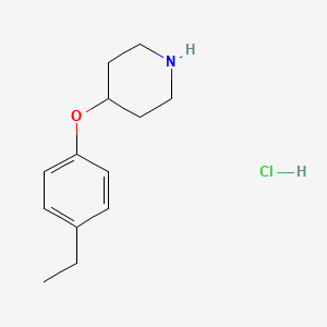 molecular formula C13H20ClNO B1388719 4-(4-Ethylphenoxy)piperidine hydrochloride CAS No. 1185298-66-1