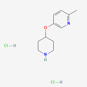 molecular formula C11H18Cl2N2O B1388721 6-Methyl-3-pyridinyl 4-piperidinyl ether dihydrochloride CAS No. 1184991-32-9