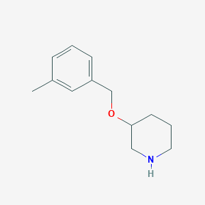 molecular formula C13H19NO B1388741 3-[(3-Methylbenzyl)oxy]piperidine CAS No. 946680-96-2