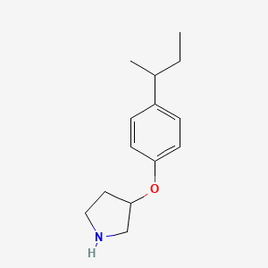 molecular formula C14H21NO B1388757 3-[4-(Sec-butyl)phenoxy]pyrrolidine CAS No. 946726-93-8