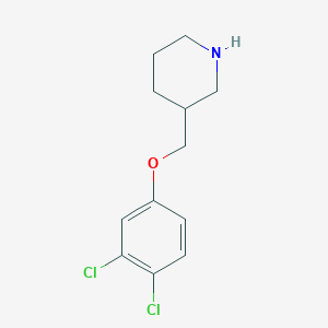 molecular formula C12H15Cl2NO B1388762 3-[(3,4-Dichlorophenoxy)methyl]piperidine CAS No. 946713-22-0