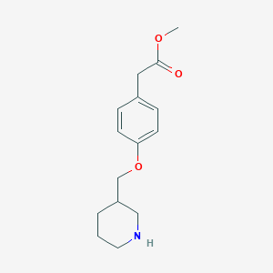 molecular formula C15H21NO3 B1388764 Methyl 2-[4-(3-piperidinylmethoxy)phenyl]acetate CAS No. 946787-47-9