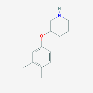 molecular formula C13H19NO B1388766 3-(3,4-二甲基苯氧基)哌啶 CAS No. 946725-92-4