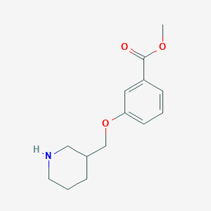 molecular formula C14H19NO3 B1388775 Methyl 3-(3-piperidinylmethoxy)benzoate CAS No. 946713-26-4