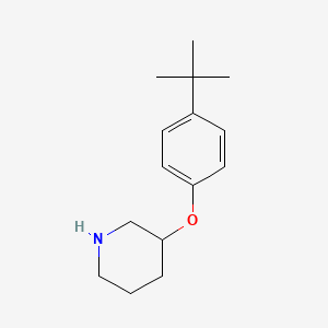 molecular formula C15H23NO B1388780 3-[4-(tert-Butyl)phenoxy]piperidine CAS No. 946714-50-7