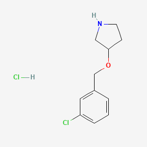 molecular formula C11H15Cl2NO B1388781 3-[(3-Chlorobenzyl)oxy]pyrrolidine hydrochloride CAS No. 1185303-31-4
