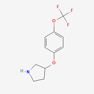 molecular formula C11H12F3NO2 B1388784 3-[4-(Trifluoromethoxy)phenoxy]pyrrolidine CAS No. 946715-68-0