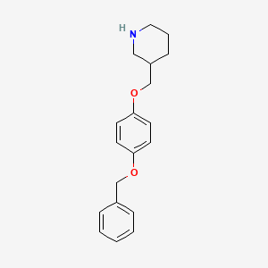 molecular formula C19H23NO2 B1388785 3-{[4-(Benzyloxy)phenoxy]methyl}piperidine CAS No. 158550-54-0