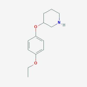 molecular formula C13H19NO2 B1388786 3-(4-Ethoxyphenoxy)piperidine CAS No. 902837-36-9