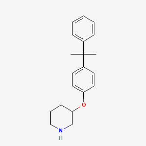 molecular formula C20H25NO B1388787 4-(1-Methyl-1-phenylethyl)phenyl 3-piperidinylether CAS No. 946681-21-6