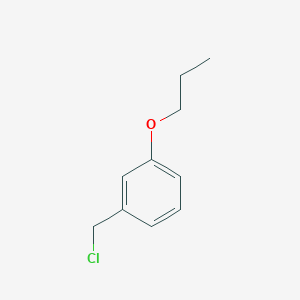 molecular formula C10H13ClO B13887883 1-(Chloromethyl)-3-propoxybenzene 