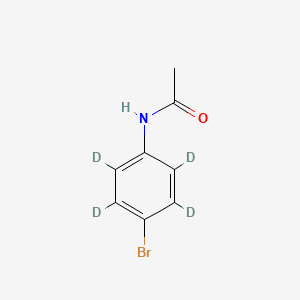 molecular formula C8H8BrNO B13888442 N-(4-bromo-2,3,5,6-tetradeuterio-phenyl)acetamide 