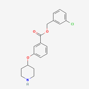 (3-Chlorophenyl)methyl 3-piperidin-4-yloxybenzoate