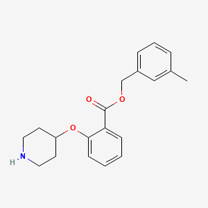 (3-Methylphenyl)methyl 2-piperidin-4-yloxybenzoate