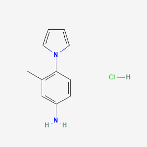 molecular formula C11H13ClN2 B1389076 3-Methyl-4-pyrrol-1-YL-phenylamine hydrochloride CAS No. 1185294-91-0