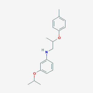 molecular formula C19H25NO2 B1389085 3-Isopropoxy-N-[2-(4-methylphenoxy)propyl]aniline CAS No. 1040684-26-1