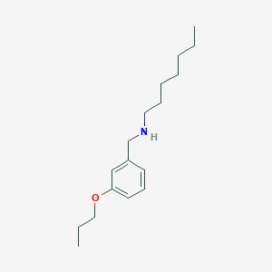 molecular formula C17H29NO B1389088 N-(3-Propoxybenzyl)-1-heptanamine CAS No. 1040691-60-8