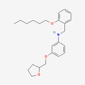 B1389096 N-[2-(Hexyloxy)benzyl]-3-(tetrahydro-2-furanylmethoxy)aniline CAS No. 1040681-46-6