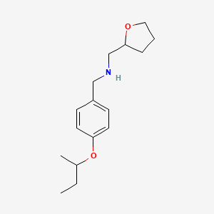 B1389107 [4-(sec-Butoxy)phenyl]-N-(tetrahydro-2-furanylmethyl)methanamine CAS No. 1040680-59-8