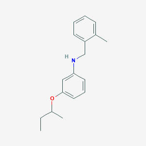 B1389115 3-(Sec-butoxy)-N-(2-methylbenzyl)aniline CAS No. 1040685-68-4