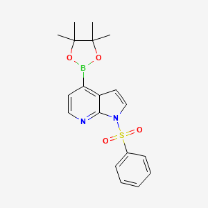molecular formula C19H21BN2O4S B1389128 1-(苯磺酰基)-4-(4,4,5,5-四甲基-1,3,2-二氧杂硼环-2-基)-1H-吡咯并[2,3-b]吡啶 CAS No. 942919-24-6