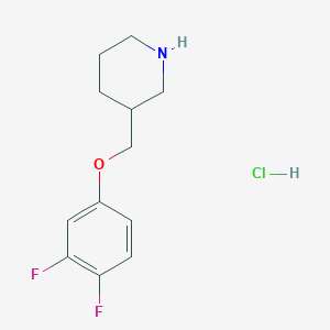 molecular formula C12H16ClF2NO B1389169 3-[(3,4-Difluorophenoxy)methyl]piperidine hydrochloride CAS No. 1185293-04-2