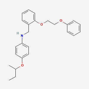 N-[4-(Sec-butoxy)phenyl]-N-[2-(2-phenoxyethoxy)-benzyl]amine