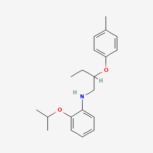 molecular formula C20H27NO2 B1389221 2-Isopropoxy-N-[2-(4-methylphenoxy)butyl]aniline CAS No. 1040683-23-5