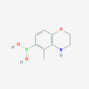 molecular formula C9H12BNO3 B13892329 B-(3,4-Dihydro-5-methyl-2H-1,4-benzoxazin-6-yl)boronic acid 