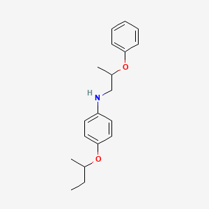 molecular formula C19H25NO2 B1389234 4-(Sec-butoxy)-N-(2-phenoxypropyl)aniline CAS No. 1040685-14-0