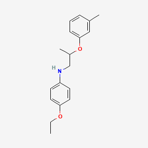 4-Ethoxy-N-[2-(3-methylphenoxy)propyl]aniline