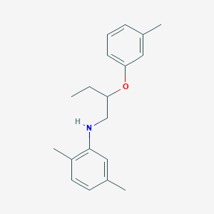 molecular formula C19H25NO B1389248 2,5-Dimethyl-N-[2-(3-methylphenoxy)butyl]aniline CAS No. 1040687-53-3