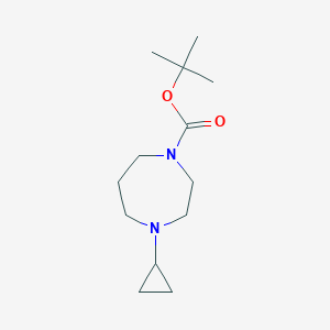 molecular formula C13H24N2O2 B13892484 Tert-butyl 4-cyclopropyl-1,4-diazepane-1-carboxylate 