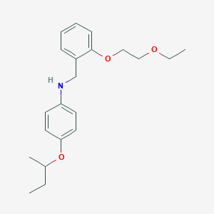 molecular formula C21H29NO3 B1389318 N-[4-(Sec-butoxy)phenyl]-N-[2-(2-ethoxyethoxy)-benzyl]amine CAS No. 1040685-57-1