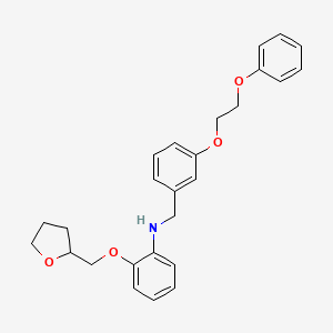 N-[3-(2-Phenoxyethoxy)benzyl]-2-(tetrahydro-2-furanylmethoxy)aniline